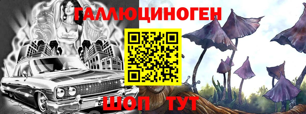 Сертолово  Галлюциногенные грибы Psilocybe  Вход с VPN 